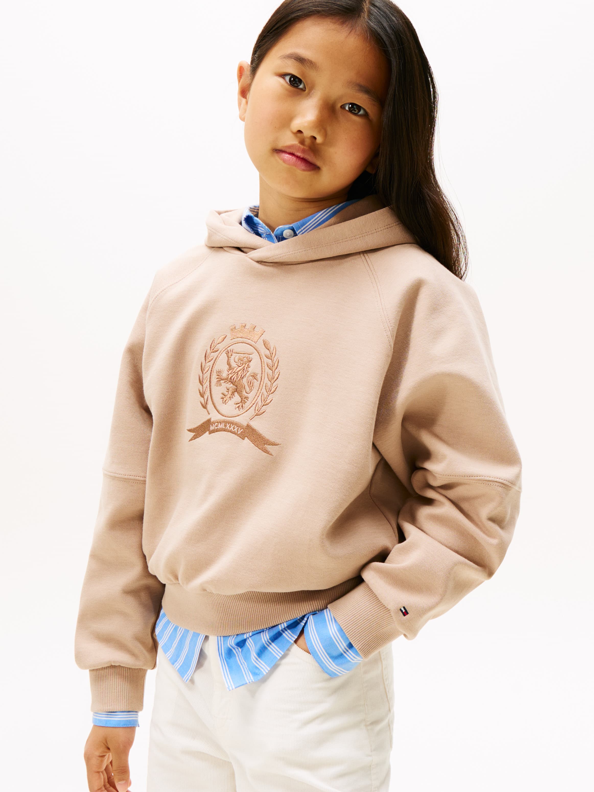 Tonal TH Crest Embroidery Interlock Knit Hoody